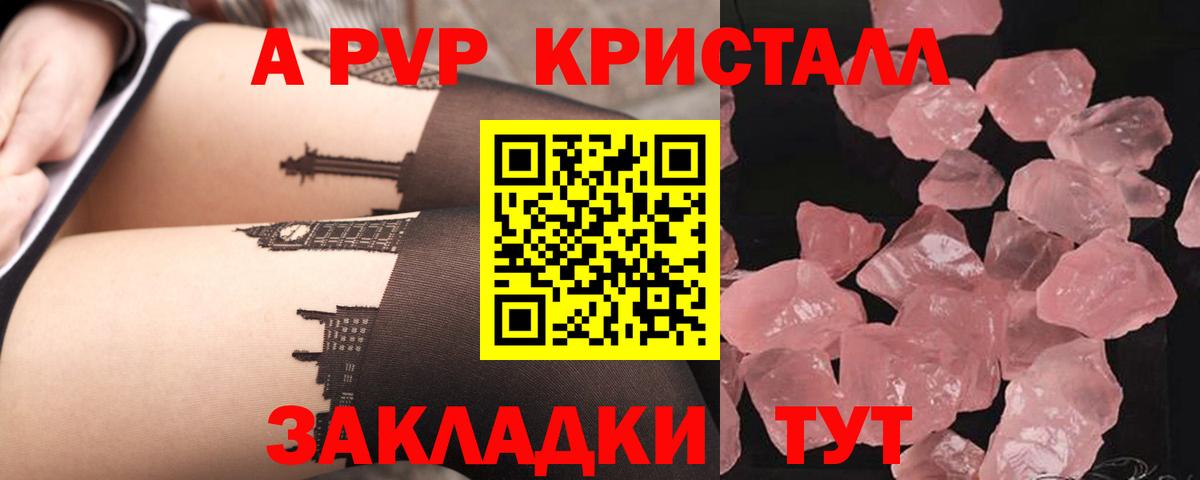 Alfa_PVP СК КРИС  A PVP крисы CK  Вход с VPN  Мурино 